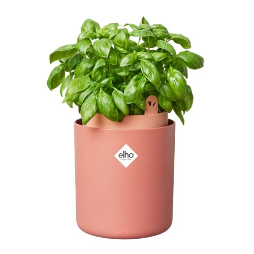 Elho Bouncy Basil 16 - Blumentopf für Züchten Und Ernten - Ø 16.5 x H 21.0 cm - Braun/Toffee Terra