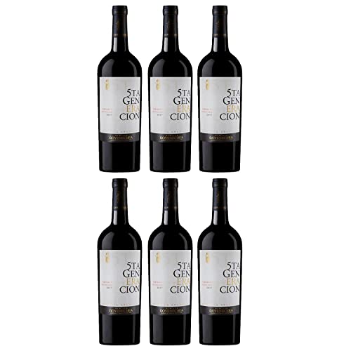 Goyenechea Quinta Generacion Cabernet Sauvignon Rotwein Wein trocken Argentinien I FeinWert Paket (6 x 0,75l)