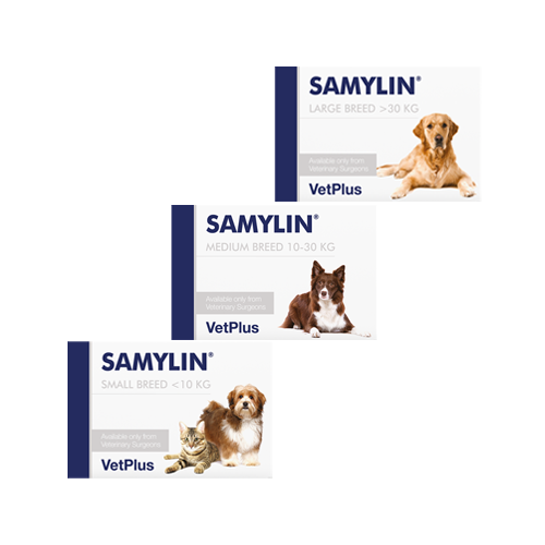 Vetplus Samylin Tabletten - Große Hund - 30 Tabletten 5