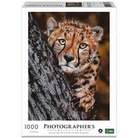 Ambassador 7230783 Gepard, 1000 Teile Puzzle für Erwachsene und Kinder ab 10 Jahren, Photographer's Collection, Donal Boyd