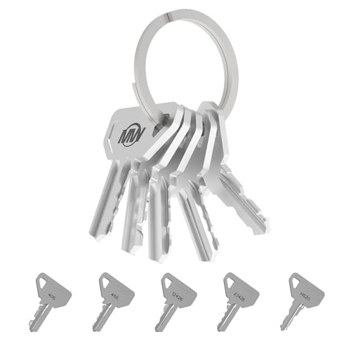 5 Schlüssel genormte 405 455 2342E H520 1242E. Für Schaltkästen Legrand/Schneider/Atlantic. Schaltschrankschlüssel für gängige, Schränke und Absperrsysteme. Für Gabelstapler, Schlüsselschalter.