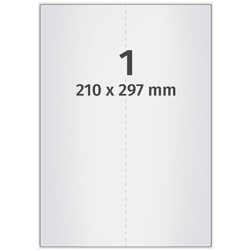 Labelident wetterfeste Folienetiketten - 210 x 297 mm - 100 PET Polyester Etiketten silber auf 100 DIN A4 Bogen, matt, Typenschilder Etiketten selbstklebend, Trägerschlitzung