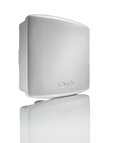 Somfy 2400583-Beleuchtungsempfänger, Außenbeleuchtung, 500 W, 230 V, weiß