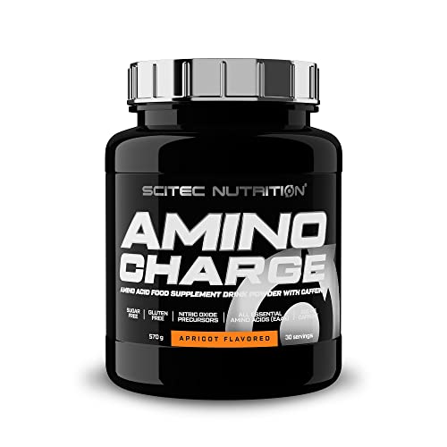 Scitec Nutrition Amino Charge, Aromatisiertes Getränkepulver mit Aminosäuren, Koffein und mit Süßungsmitteln, zuckerfrei und glutenfrei, 570 g, Aprikose