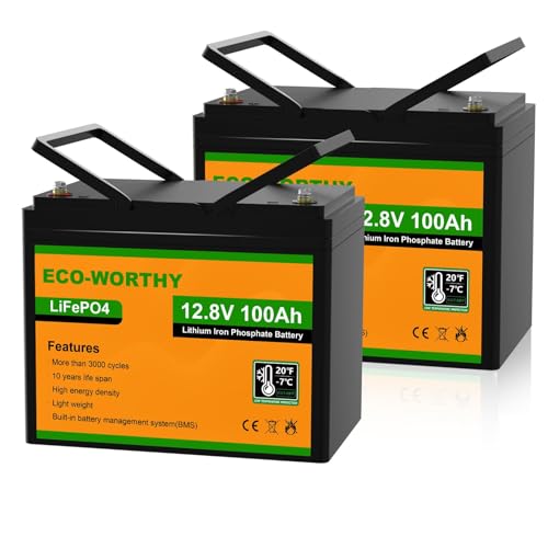 ECO-WORTHY LiFePO4 12V 200Ah Akku,Lithium Batterie 12V mit über 3000 Mal Tiefzyklen und BMS Schutz für Wohnmobil, Camping, Solaranlage, Solarpanel Kit und Boot (2 Pack LiFePO4 100 Ah)