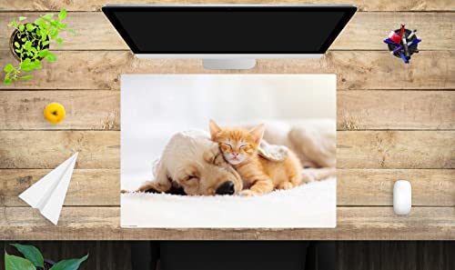 Schreibtischunterlage für Kinder und Erwachsene – “Freundschaft zwischen Katze und Hund" – aus erstklassigem, strapazierfähigem Vinyl (Kunststoff -BPA frei) – 70 x 50 cm – Made in Germany