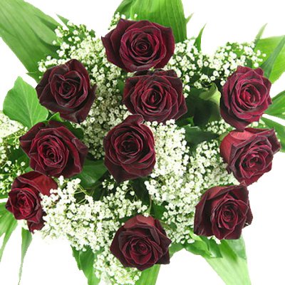 Großer Blumenstrauß - 10 schwarze Rosen und Schleierkraut - Rosenstrauß inklusive gratis Grußkarte