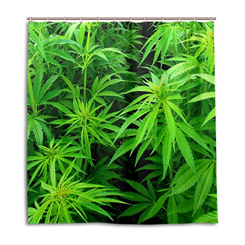 alaza Marihuana-Hanf-Blätter Duschvorhang 66 x 72 Inch, schimmelresistent und wasserdicht Polyester Dekoration Badezimmer-Vorhang