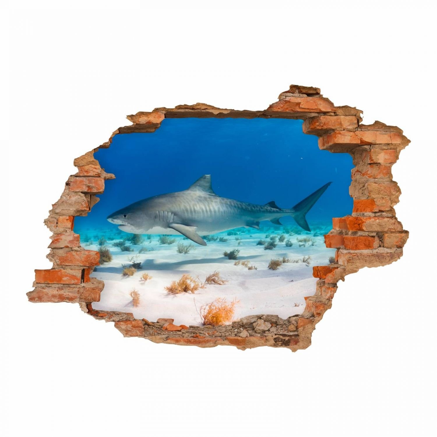 nikima - 100 Wandtattoo Hai Wasser Sand - Loch in der Wand - in 6 Größen - wunderschöne Kinderzimmer Sticker und Aufkleber Coole Wanddeko Wandbild Junge Mädchen Größe 1500 x 1000 mm