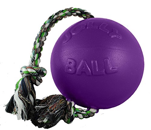 Jolly Pets Romp n Roll-Ball-Farbe: Lila