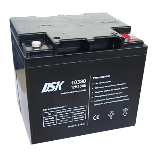 DSK - 12 V 42 Ah DSK Blei-Säure-Akku; ideal für Alarmanlagen zu Hause oder in der Industrie.