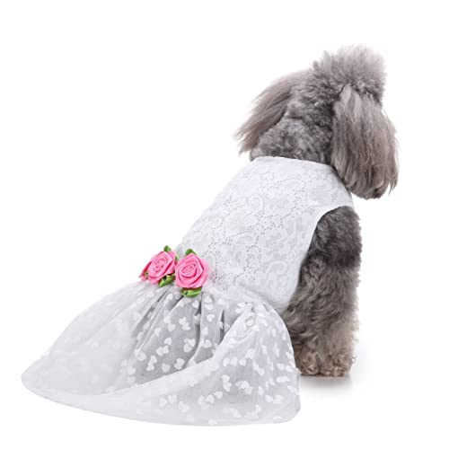 SUSOSU Haustier Kleidung Hunderock Wasserdruck Hundekleidung Rock Kleider für Kleine Mädchen Hunde Niedliche Haustierkleidung,White 2,XS