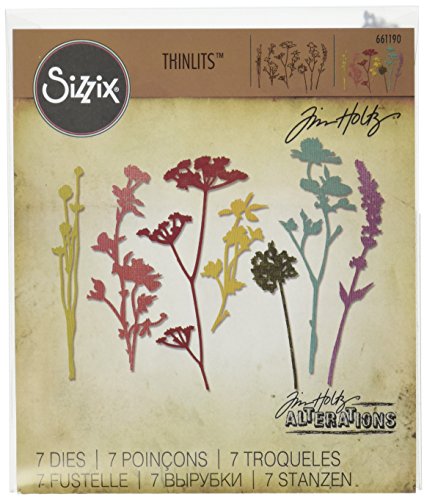 Sizzix Wildblumen von Tim Holtz Thinlits Stanzen Set, 12 in Packung, Stahl, Funky Floral #2, 19.1 x 14.3 x 0.3 cm
