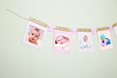 C.R. Gibson Baby 's First Year Foto Milestone Banner für Mädchen, 12 Stück