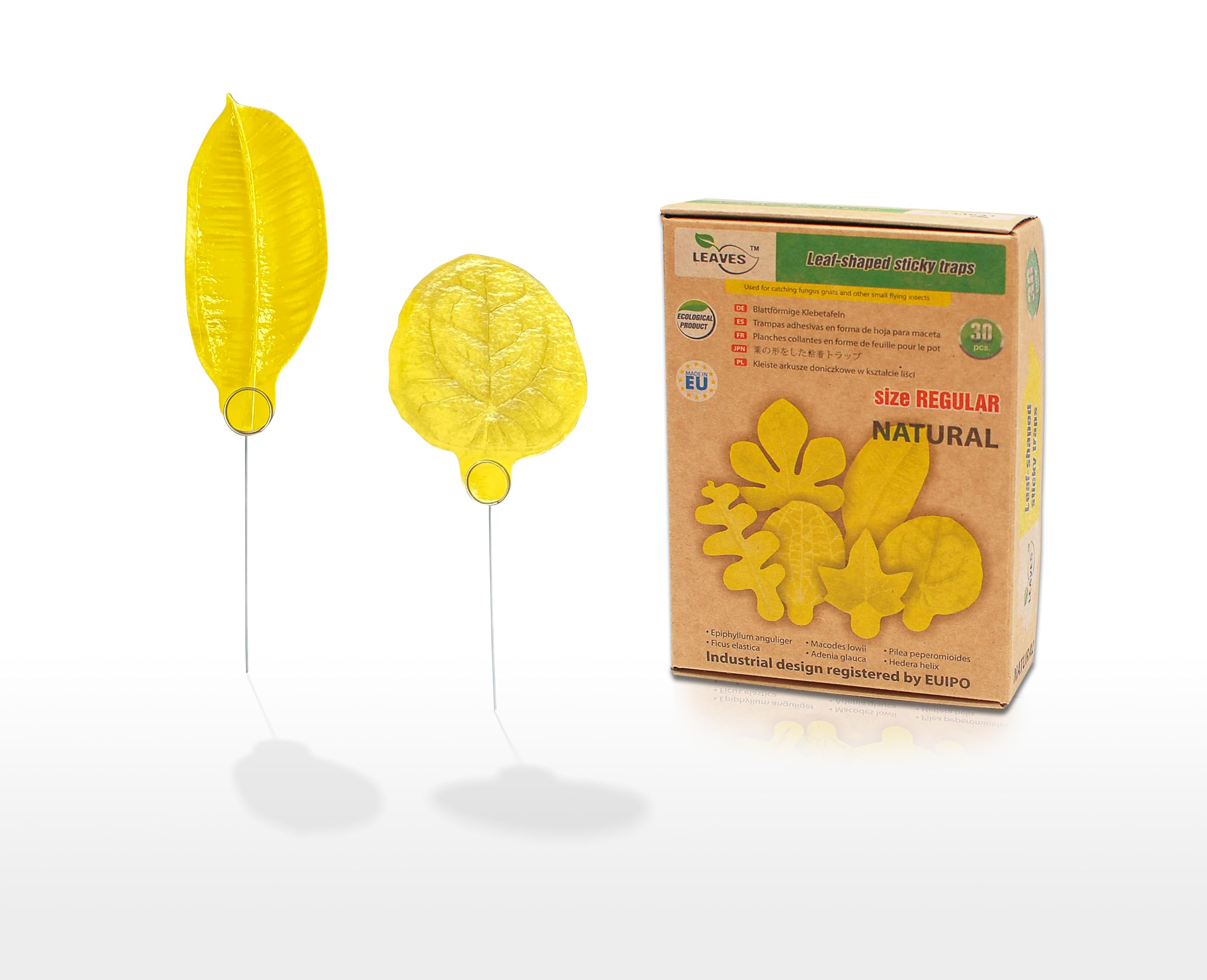 LEAVES 30 STK Gelbsticker Trauermücken Bioprodukt – gelbtafeln gegen trauermückenfür Zimmerpflanzen Schädlingsbekämpfung mehrere Arten Pflanzenkontrolle im Innenbereich.