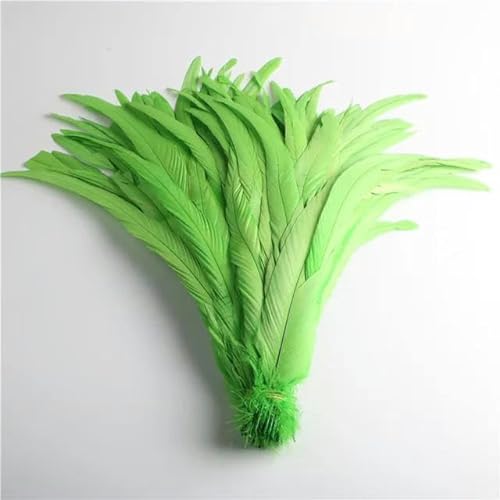50 Stück natürliche Kükenschwanzfedern, 25–40 cm, für Kleidung, Dekoration, Bühnenauftritt, Hahnenschwanzfedern, Pflaume-Mintgrün, 25–30 cm