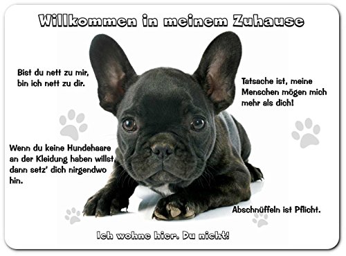 Merchandise for Fans Blechschild/Warnschild/Fun Türschild 30x40cm - Willkommen in Meinem Zuhause - Motiv: Französische Bulldogge Welpe schwarz - 08 - (30x40cm)