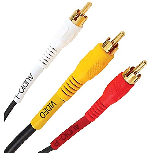 AXIS PET10–4088 50 Füße Interconnect Kabel