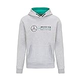 MERCEDES AMG PETRONAS Formula One Team - Offizielle Formel 1 Merchandise Kollektion - Logo-Kapuzenpullover - Grau - Erwachsene - XL