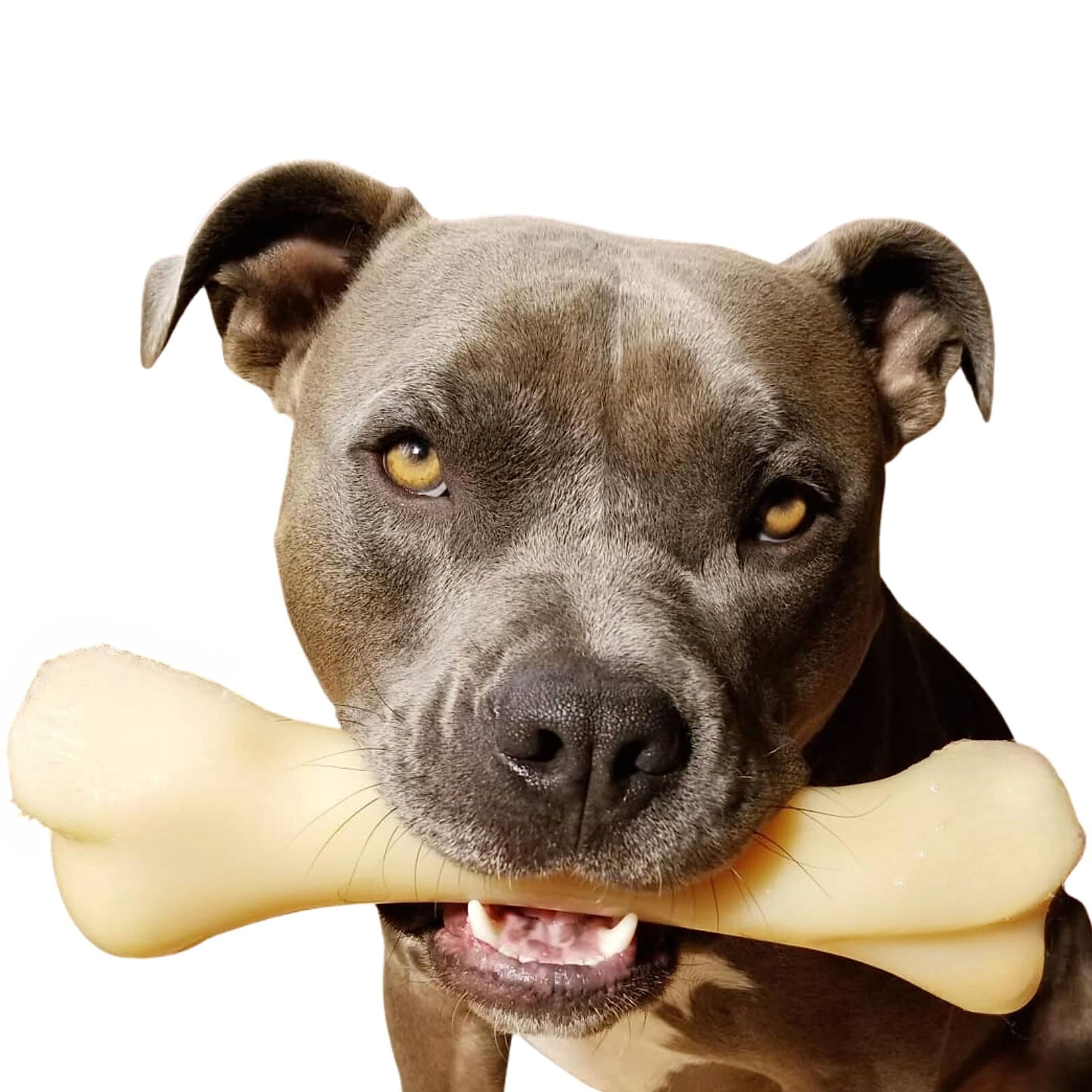 Nylabone Extreme, Kau- und Zahnspielzeug für Hunde, Hundeknochen, für aggressiv / Starke kauende, Hähnchengeschmack, für extra extra große Hunde über 23 kg, Monster-Knochen