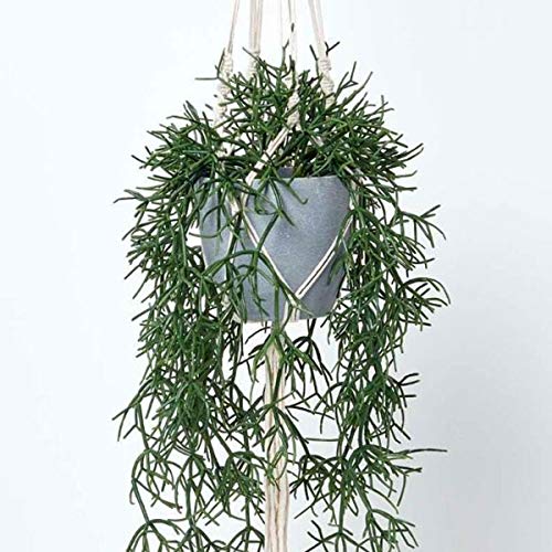 Homescapes hängende Kunstpflanze im Topf mit Makramee-Blumenampel zum Aufhängen, künstliche Hängepflanze Rhipsalis mit Melamin-Topf, künstliche Pflanze, Korallenkaktus im Pflanzenampel, 116 cm