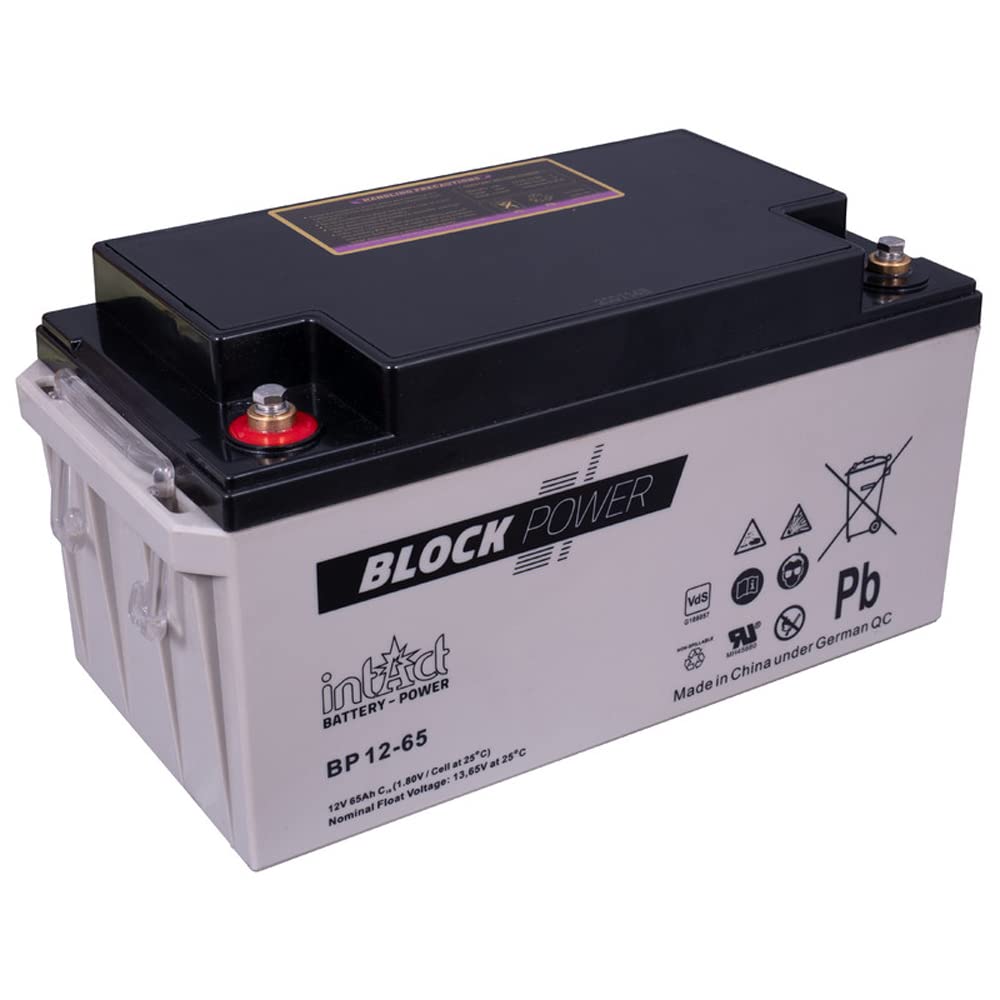 intAct Block-Power BP12-65, 12V 65 Ah, Hochwertige und zuverlässige Versorgungsbatterie, Wartungsfreie AGM-Batterie