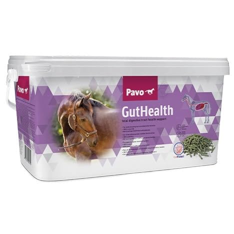 Pavo GutHealth 7,5kg Unterstützung von Magen & Darm