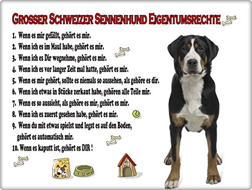 Blechschild / Warnschild / Türschild - Aluminium - 30x40cm "Eigentumsrechte" Motiv: Großer Schweizer Sennenhund stehend (08)