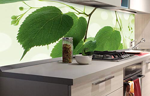 Dimex Küchenrückwand Folie selbstklebend GRÜNE BLÄTTER | Klebefolie - Dekofolie - Spritzschutz für Küche | Premium QUALITÄT - Made in EU | 180 cm x 60 cm