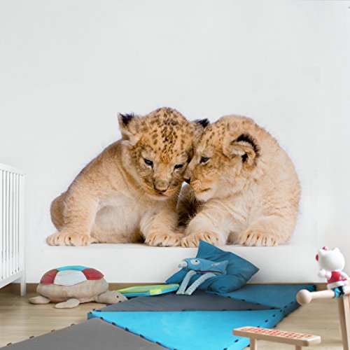 Apalis Vliestapete Two Lion Babys Fototapete Quadrat | Vlies Tapete Wandtapete Wandbild Foto 3D Fototapete für Schlafzimmer Wohnzimmer Küche | Größe: 288x288 cm, mehrfarbig, 98106