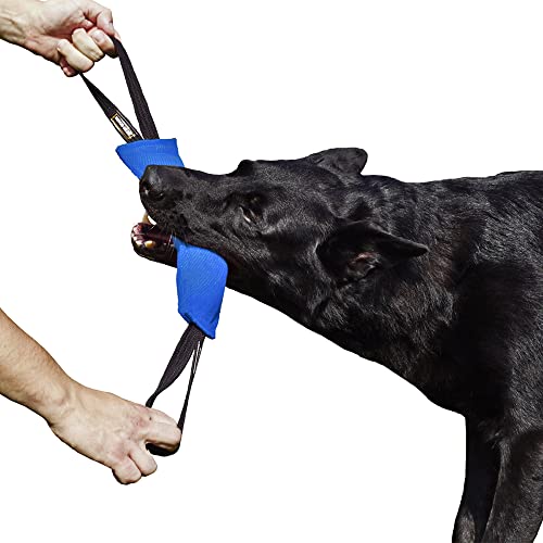 Dingo Gear Baumwolle-Nylon Beißwurst für Hundetraining K9 IGP IPO Obiedence Schutzhund Hundesport, mit Zwei Griffen 7 x 28 cm Blau S00063