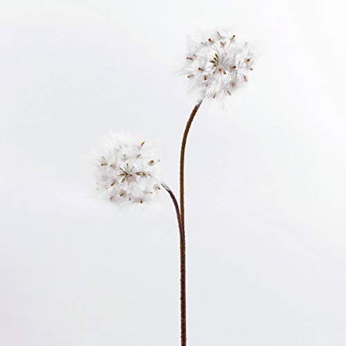 artplants.de Künstliche Pusteblume Löwenzahn Theresia, 2 weiße Blüten, 85cm - Kunst Blume