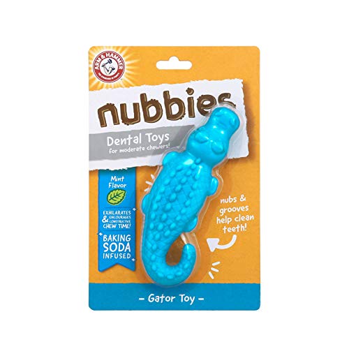 Arm & Hammer: Nubbies Gator Zahnspielzeug für Hunde, Minzgeschmack