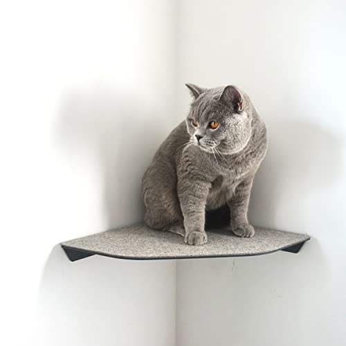 LucyBalu® Katzenliege & Kletterstufe mit Filzauflage für Wandecken | Wandliege für Katzen | Katzenstufe für Wandecken | Katzen Wand Liegeplatz | Katzenmöbel für Kletterwand | Katzenregal | Anthrazit