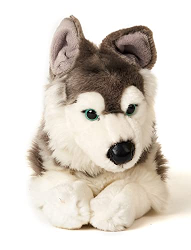 Husky grau, liegend - 40 cm (Länge) - Plüsch-Hund - Plüschtier Kuscheltiere grau/weiß
