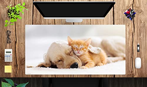Schreibtischunterlage XXL mit integriertem Mousepad – “Freundschaft zwischen Katze und Hund“ – aus strapazierfähigem Vinyl – 100 x 50 – Rutschfeste Schreibunterlage für besten Schutz – Made in Germany