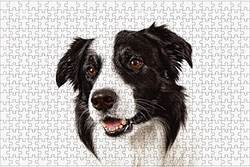 LHJOY rätsel Puzzle 3D Puzzle 1000 Teile Border Collie Hund Tier Geburtstagsgeschenk 75x50cm