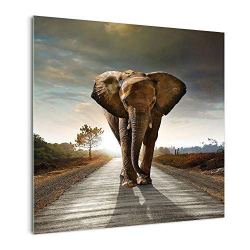 DekoGlas Küchenrückwand 'Elefant auf Straße' in div. Größen, Glas-Rückwand, Wandpaneele, Spritzschutz & Fliesenspiegel