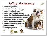Merchandise for Fans Blechschild/Warnschild/Türschild - Aluminium - 30x20cm Eigentumsrechte Motiv: Englische Bulldogge (06)