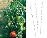 Benelando® Tomaten-Spiralstab 180cm Stahl verzinkt - 2. Wahl (10)