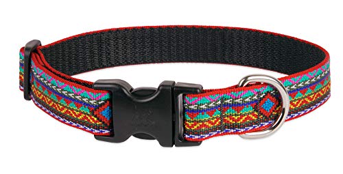 Lupine Dog Collar 1" Wide EL Paso Design adjusts 12-20" Long