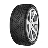 MINERVA AS MASTER 225/65R17106V