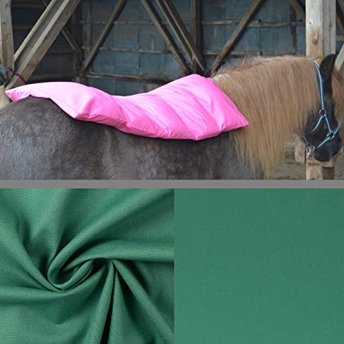 Teichwerk Dinkelspelzkissen Wärmekissen für Pferde Ponys Esel 1 farbig Smaragd Füllung Premium 90x68
