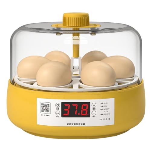 luxurious Mini-Vogelbrutkasten, Automatischer Heimbrutkasten, Automatischer Brutkasten, Elektrischer Hühnervogel für Kinder, 6 Eier, EU-Stecker, Einfache Installation