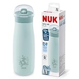 NUK Mini-Me Flip mit Strohhalm für Kleinkinder | ab 12 Monate | 500 ml | Edelstahl-Wasserflasche für Kinder | auslaufsichere stabile Trinköffnung | bruchsicher | blauer Globus