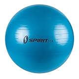 Spirit Gymnastikball Ø 55 Sitzball Fitnessball Yogaball Bürostuhl Ball + Pumpe