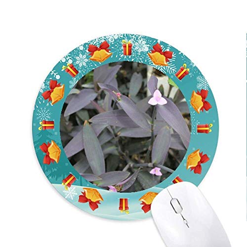 Hellrosa Salbei Mousepad Rund Gummi Maus Pad Weihnachtsgeschenk