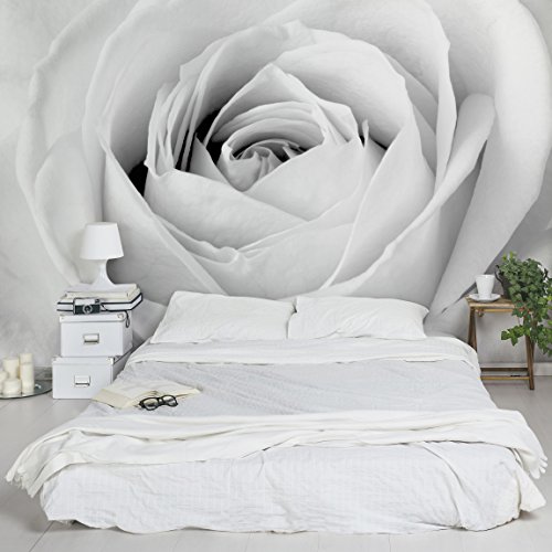 Apalis Vliestapete Blumentapete Close Up Rose Fototapete Breit | Vlies Tapete Wandtapete Wandbild Foto 3D Fototapete für Schlafzimmer Wohnzimmer Küche | grau, 94564