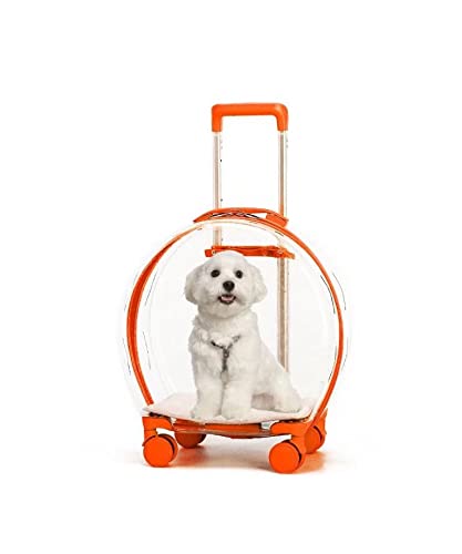 N&P Honhan Transporttasche für Haustiere, mit Rollen, transparent, für Welpen, Hunde, Katzen, mit Rollen, leicht zu transportieren für Reisen im Auto.