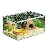 DZAY Transportboxen für Reptilien Amphibien Aquarien Transparente Reptilienzuchtbox,Reptilien Box Acryl Terrarien für Reptilien Amphibien,Zuchtbehälter Terrarium für Schlangenschildkröten